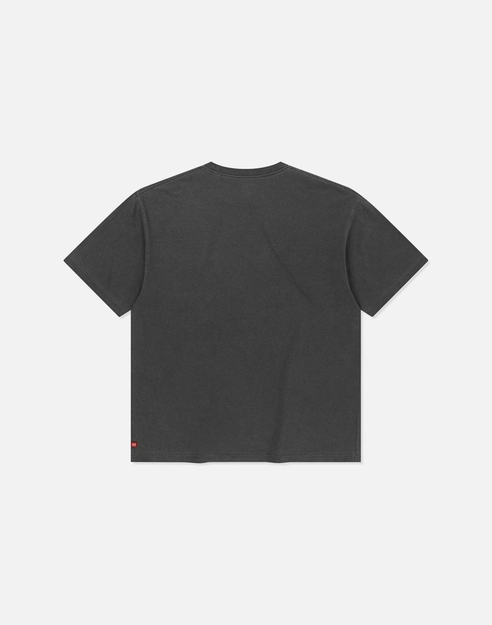 DC X BROWNBREATH CHUNKY PIGMENT TEE (DG21ST901CHA)