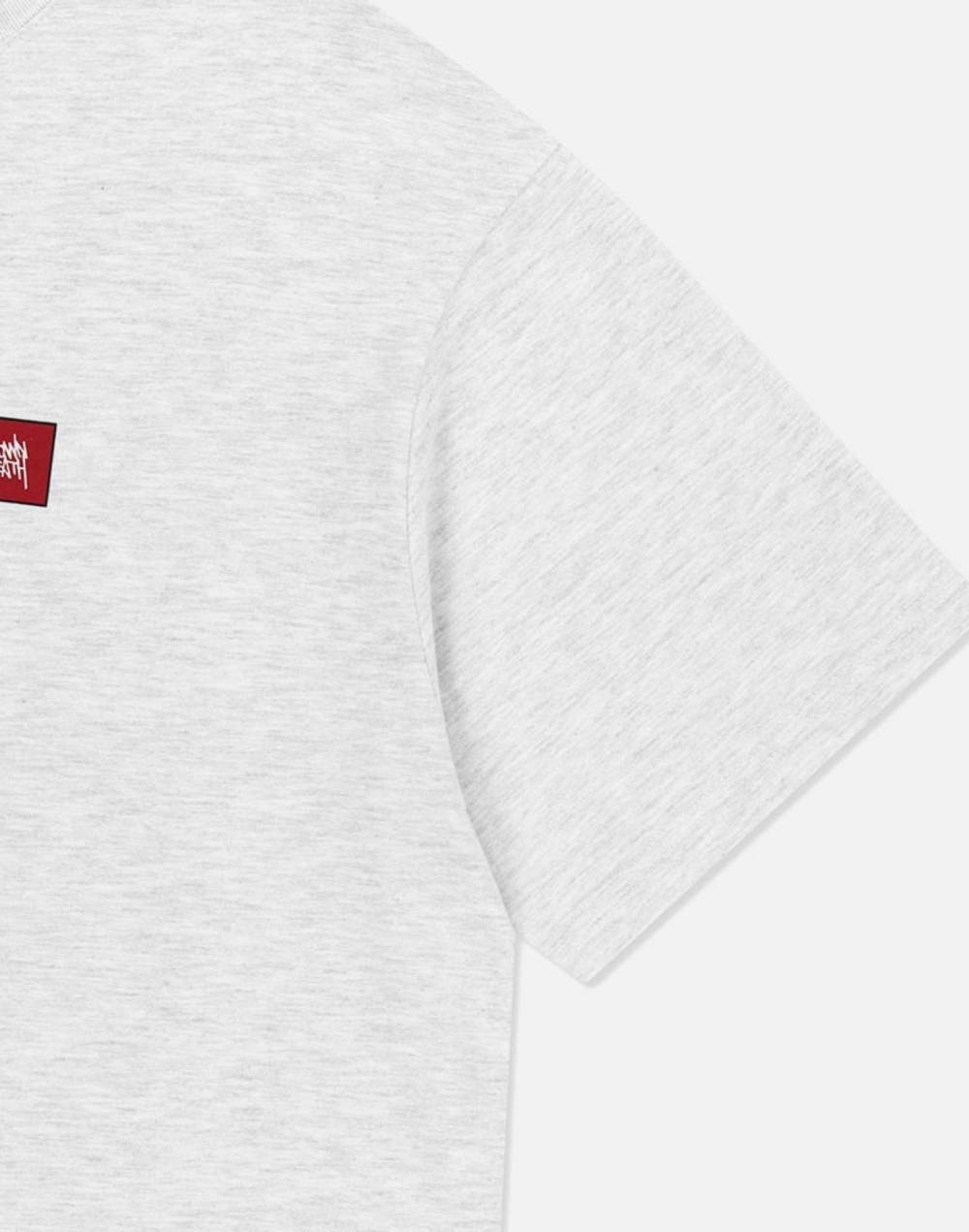DC X BROWNBREATH SLOGAN TEE (DG21ST903ASH)