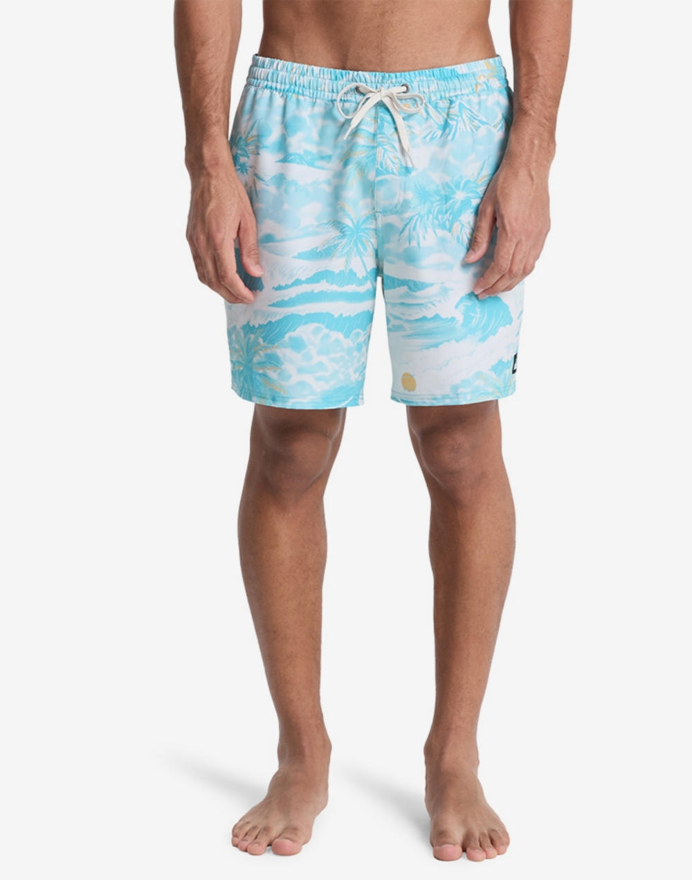 퀵실버 에브리데이 프린트 17인치 발리숏 (QG21BS008BJK)